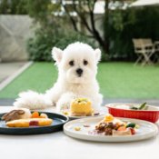 ＼ペット婚相談会♪／大切な家族と過ごすプライベートWD