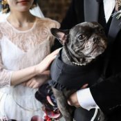 【ペット婚・家族のみ婚など】幅広い要望に対応可能♪無料試食相談会