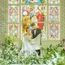 《結婚式ALL体験》自然光が彩る圧巻大聖堂挙式×ドレス見学