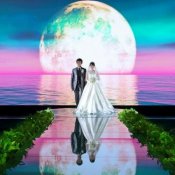 4KハイビジョンWEDDING体験×特別特典フェア