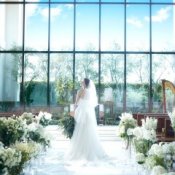 AM限定\White Dayフェア/花嫁ALL体験&プレミアムスイーツ試食