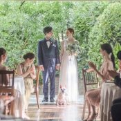 ★木漏れ日と緑に包まれた貸切ガーデン★3万円試食×ALL体験フェア