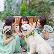 “家族みんなで”が叶う!ペットと一緒のウエディング相談フェア