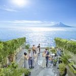 年1*ミシュラン特別絶品試食《豪華23大特典》自然光溢れる×碧の絶景チャペル体験