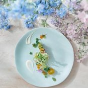 バレンタインSP★ドレス1着プレゼント&165万優待*豪華コース試食