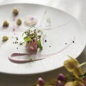 【特別開催】オマール海老&和牛の至極フルコース試食×趣き溢れる邸宅見学&7大特典