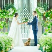 ◇大切なペットもご一緒に◇家族の一員と叶える結婚式相談会