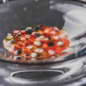 【ハナユメ限定】花嫁絶賛*グランメゾンのおもてなし♪絶品美食×貸切体感ツアー