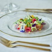 【料理重視◎】シェフ特製*逸品の一皿を試食&おもてなし料理特典