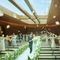 【ハナユメ限定】木漏れ日の新チャペル&ガーデン付貸切邸宅体験!試食&豪華特典付き