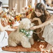 【大切な家族のペットと一緒に】限定特典付*ペットW安心相談会