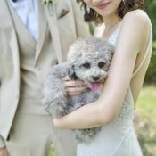 【大切な家族！ペットと一緒の結婚式】限定特典♪ペットと相談会