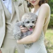 【大切な家族！ペットと一緒の結婚式】限定特典♪ペットと相談会