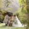 【愛犬と叶える結婚式】ガーデン付き貸切邸宅ツアー&美食体験