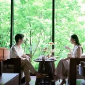 【年末SP】花嫁憧れ木と光の感動チャペル体験｜60万優待×ミシュラン2泊の詳細を見る