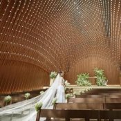 【水曜限定|木と光のチャペル&ドレス見学】ホテルペアディナー付