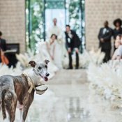 【挙式も披露宴もペットOK】大切なペットと過ごす3DaysWedding