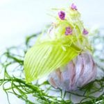 *◆料理フェス1位こだわり贅沢コース◆*夏の美食＆ドレス特典