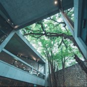 ◆平日限定 前撮り付◆安藤建築&美食コース堪能フェア