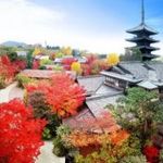 【組数限定】オンライン相談会☆会場案内&お見積もり相談