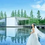 【150万円特典＆宿泊付】緑・光・水の五つ星ホテル×国産牛試食