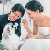 【挙式も披露宴もペットOK】大切な家族と過ごすペット婚相談会