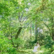 《週末BIGフェア》豪華試食×スペシャル17大特典*の詳細を見る