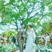月曜2組限定★7大特典!光と緑溢れる空間×憧れのドレス見学