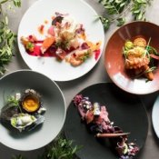 【試食付き】｜名駅直結*上質レストラン◆シェフ監修4万試食*100万特典付き