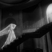 【写真のみ検討の方】国際フォトコンテスト受賞記念キャンペーン