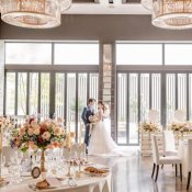 年末BIG【3時間で全部体験】*ALL見学*試食*予算*Amazon2万