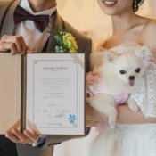 ★愛犬と一緒に叶える挙式★ガーデン&チャペル見学×相談会