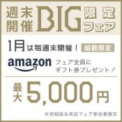 【限定BIGファイナル】最大5千円ギフト付き！＼新年スタート祭／