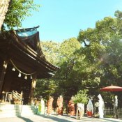 【神社挙式+写真のお客様へ:30万円】試食付きフェア