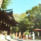 【神社挙式＋写真のお客様へ：28万円】試食付きフェア