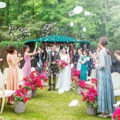 【日曜限定】amazon1万円分付×豪華試食付!BIGフェア