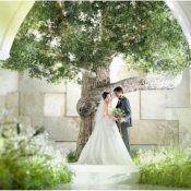 【木の下で誓うアットホーム婚】光×緑の心温まるナチュラル挙式の詳細を見る