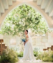 \憧れ花嫁/支持率◎「シンボルツリーの大聖堂」ドレス見学×豪華試食×選べる4会場
