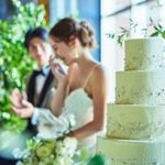 \おしゃれ花嫁必見/会場リアルコーデ**感動体験&絶品試食