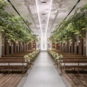 ≪前日◎午後増枠!≫平日限定BIG★特典【挙式22万&豪華試食】