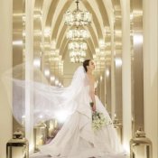 【★先着限定★】憧れのドレスを実際に*花嫁体験Fair