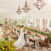 【PREMIUM＊Xmasフェア】大聖堂×煌めくステンドグラス×美食体験