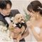 《 ペットOK》 大切な家族と叶える愛犬演出&相談会×美食体験