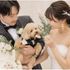 《 ペットOK》 大切な家族と叶える愛犬演出&相談会×美食体験のイメージ