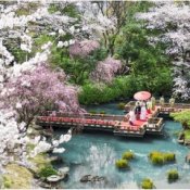 残2【AM限定15大特典】本格神社×伝統絶品試食×貸切庭参進体験