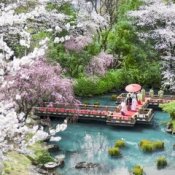 AM特典付【最大85万優待】金目鯛*試食×神社×一万坪の貸切庭園の詳細を見る