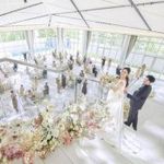 ＼待望のGrandOpen★／最大120万優待×光溢れるParty×豪華試食