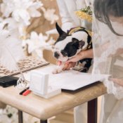 《ペットフレンドリー》愛犬と一緒に挙式&披露宴も過ごせる