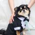 【ペット婚ご検討の方】愛犬と2泊3日★大切な家族と叶える結婚式のイメージ