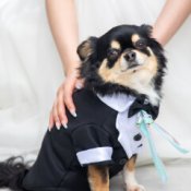 【ペット婚ご検討の方】愛犬と2泊3日★大切な家族と叶える結婚式
